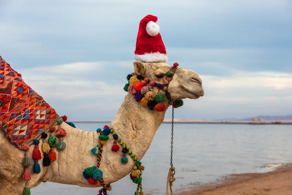 Natale e Capodanno in Egitto Offerte – Vacanze Indimenticabili