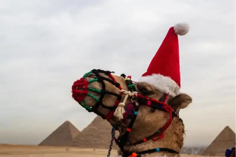 Natale in Egitto con una crociera sul Nilo e una visita al Cairo: piramidi, storia e tradizione.
