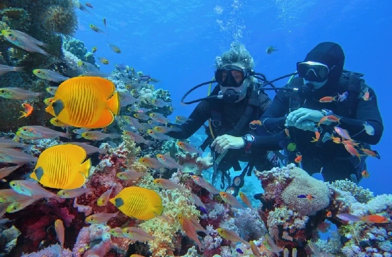 Diving a Hurghada: un'esperienza unica tra i colori vibranti del Mar Rosso