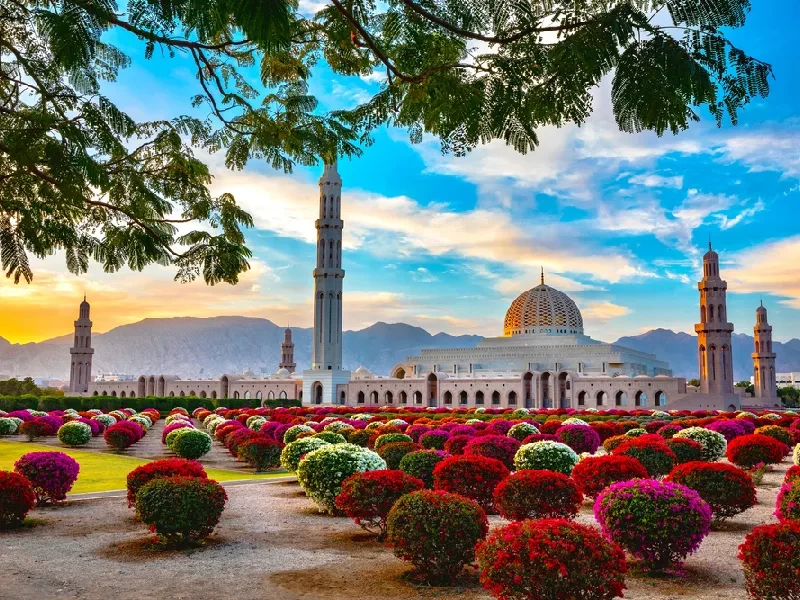 Scopri Muscat, la perla dell’Oman tra storia e mare.